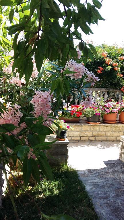 Apartments Santa Barbara Biograd Na Moru Εξωτερικό φωτογραφία